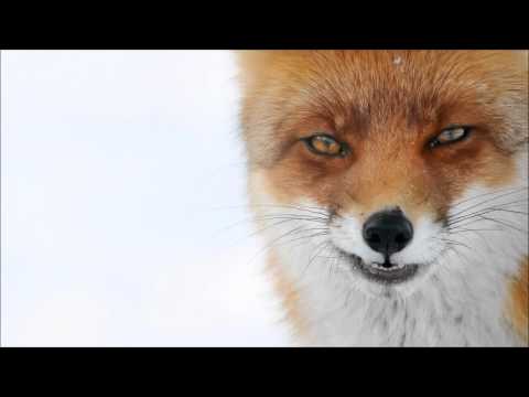 Trinix - Jingle Bells