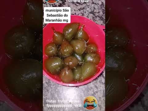 Queiroz município São Sebastião do Maranhão mg