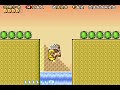 Super Mario Advance 4 World E The Ol Switcheroo