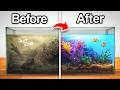Transforming An Abandoned Aquarium With Fish