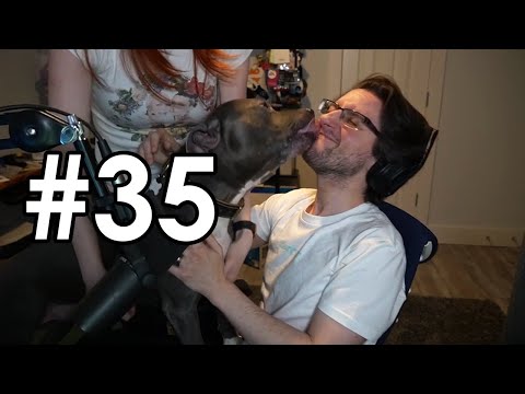 Best of Datto Does Destiny - Stream Highlights #35