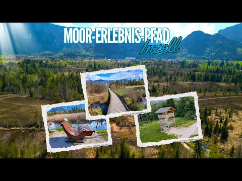 Moor-Erlebnis-Pfad Inzell | Chiemgau | Bayern | 2025 | Natur | Drohne | Traunstein | Alpen | Berge |