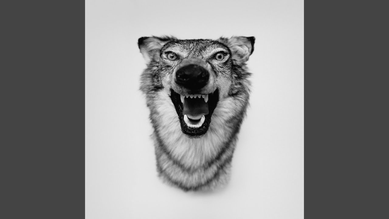 Yelawolf - Johnny Cash