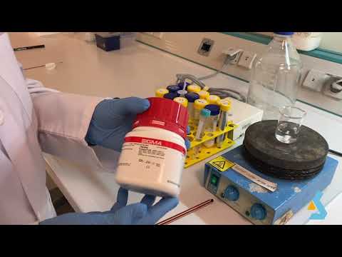 04  - Amino Acid Titration Curve