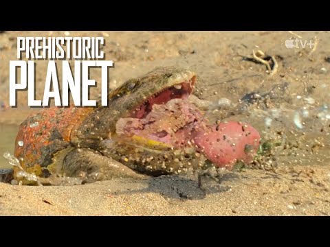 Beelzebufo Scene in Prehistoric Planet
