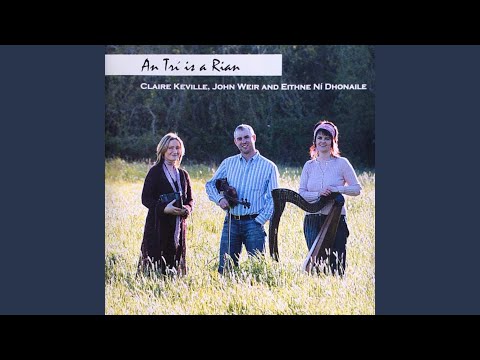 The Templehouse Reel / Mamma's Pet (Fiddle Solo)