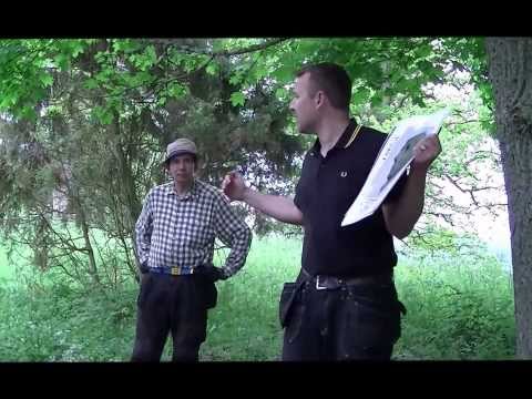 Guldet i Västra Vång