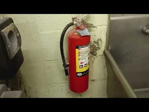 Why the Fruit Flies Were Infesting This Restaurant in Lawrence Township, NJ