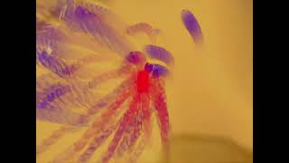 Speedy J - Evolution (AI upscale)