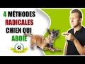Chien Qui Aboie Comment Faire