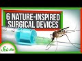 6 Surgical Devices Inspired By Nature