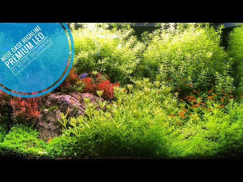 Watch Video on YouTube