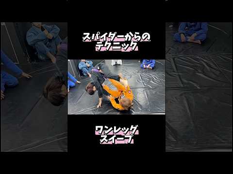 スパイダーガードで下から相手をひっくり返す #bjj   #ブラジリアン柔術  #格闘技 #mmafighter