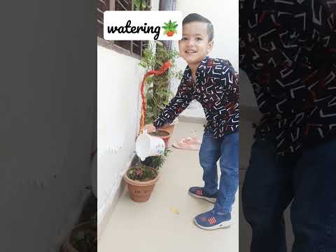 love with nature🪴👏 #harshul #cutebaby #wateringplants #nature #naturelovers #cute #cuteness #love