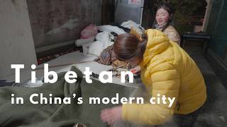 Conflict between China and Tibet？Here are their real lives