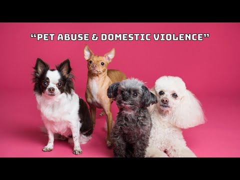 Pet & Animal Abuse and Domestic Violence