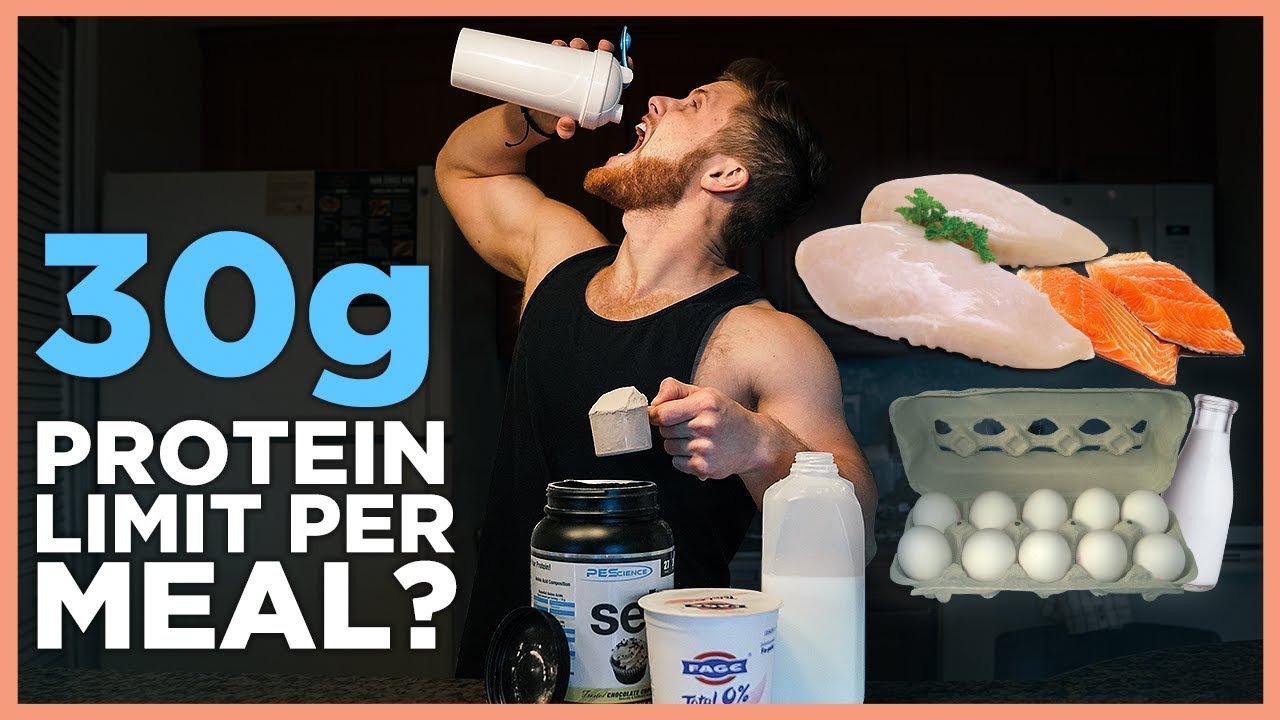 How Much Protein Can You Absorb In One Meal? (20g? 30g? 100g?)