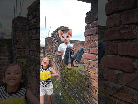 Cat ki candy Kritika ne chori ki 😂 #funny #shorts #trending