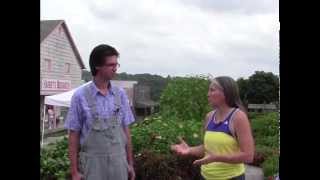 Make A Side Income Growing Seeds In Your Backyard!