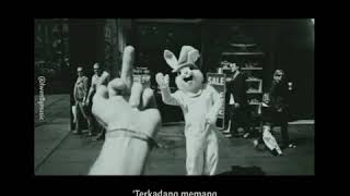 Download lagu story wa dhyo haw  cepu mp3