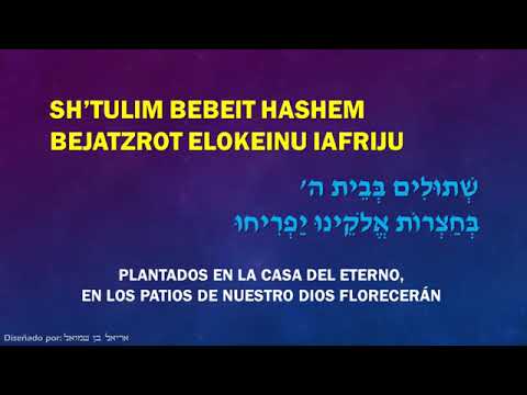 SALMO 92 EN HEBREO, EL JUSTO FLORECERA COMO PALMERA | Yosef Karduner - Tzaddik KaTamar - צדיק כתמר