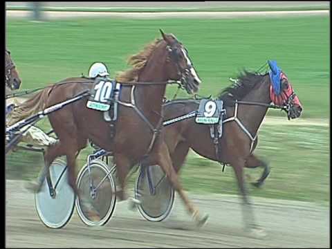 Trotto 18/10/2016 - 1ª corsa