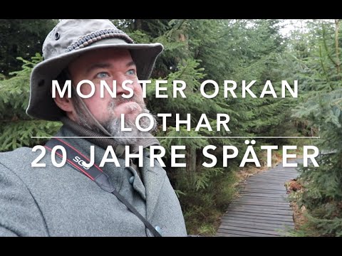 Hurricane Lothar after 20 years (short tour)