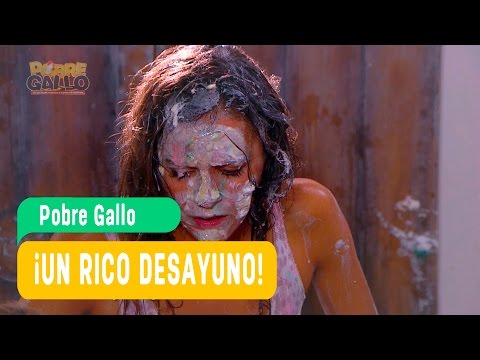 Pobre Gallo - Andrea y Borja Capítulo 89