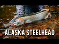 72 Hours Fly Fishing for Steelhead in the Tongass National Forest | Steelhead Chronicles