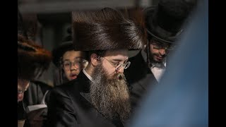 האדמו''ר מסדיגורה במירון  - Sadigura Rebbe