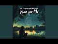 Wait for Me