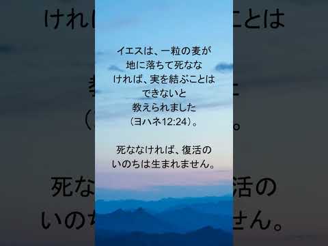 動画を再生