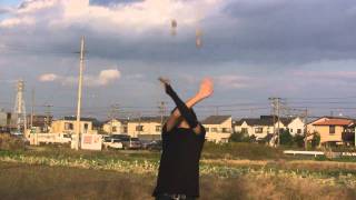 Vert-WD-CrossV-WD-Vert