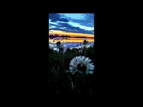 Liquid Drum and Bass Mix 2020 05 31