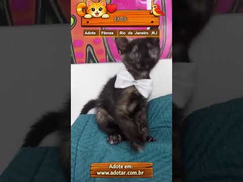Vídeo de ZARA