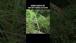 Download lagu Rumahku Di Tengah Hutan !! Gadis Cantik Sendirian Di Hutan. #tinggaldihutan #hidupdihutan mp3 Download lagu Rumahku Di Tengah Hutan !! Gadis Cantik Sendirian Di Hutan. #tinggaldihutan #hidupdihutan mp3