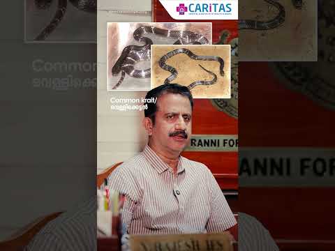 The idea that small snakes are not poisonous is dangerous