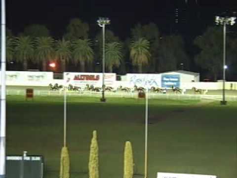 harness race fall in perth  go down like nine pin kamwood tom