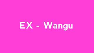 Rayvanny X Aslay Ex Wangu Lyrics