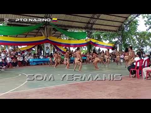 𝐃𝐚𝐧𝐳𝐚 𝐜𝐮𝐥𝐭𝐮𝐫𝐚𝐥 𝐦𝐮𝐧𝐢𝐜𝐢𝐩𝐢𝐨 𝐩𝐮𝐞𝐫𝐭𝐨 𝐍𝐚𝐫𝐢𝐧̃𝐨 𝐚𝐦𝐚𝐳𝐨𝐧𝐚𝐬 𝐜𝐨𝐥𝐨𝐦𝐛𝐢𝐚.