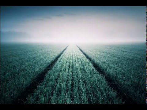 bACONpIZZA by aNTOJE