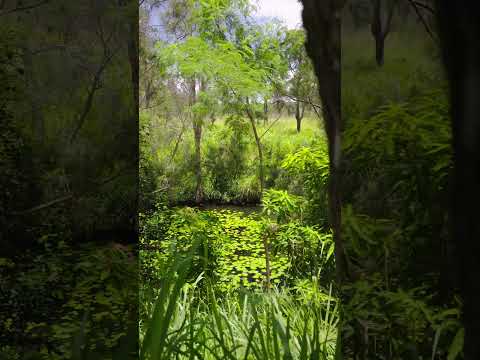 Video Thumbnail for 107 Sleipner Road, Nankin