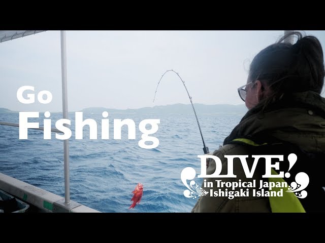 Go fishing | What to do in Ishigaki | Dive in tropical Japan