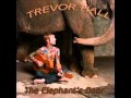 Trevor Hall- All I Can Do( the elephant's door ...