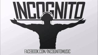 Pleasurecraft EP mixed by Incognito Music