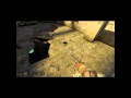 Bird Wmv