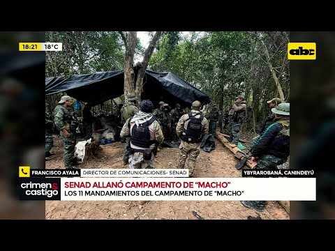 Senad allanó campamento de ‘‘Macho’’ en Canindeyú: ¿Qué incautaron?