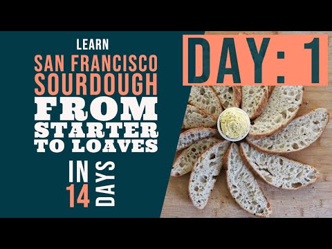 San Francisco Sourdough Bread Series: Day 1 - What you'll need