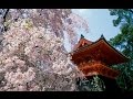 Красивая песня на японском языке . 60 е годы 