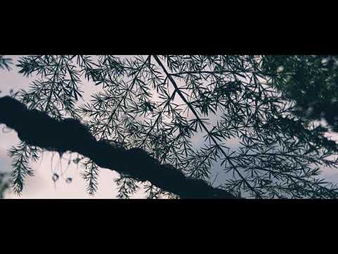 Mobile Phone Videography_Sony Xperia C5 Ultra